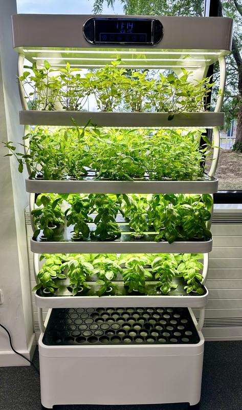 A Harvestory Herb Station cabinet growing an assortment of culinary herbs