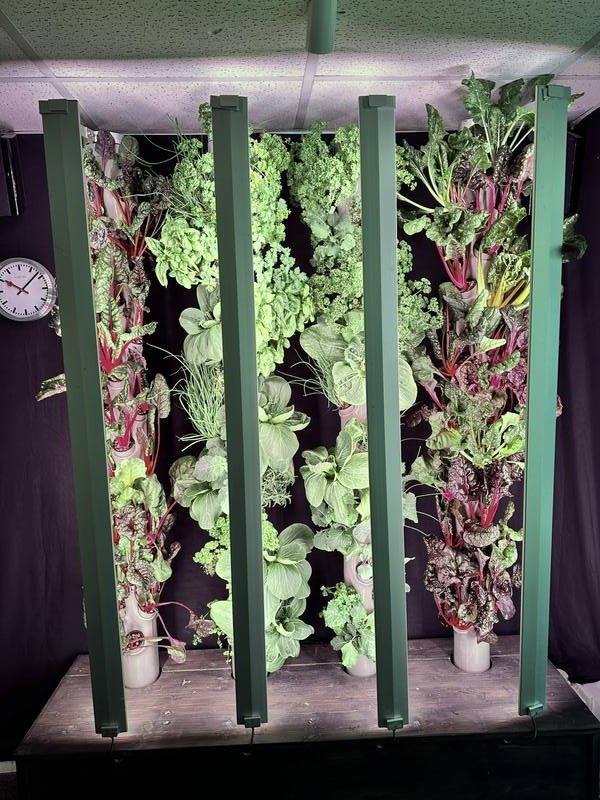 Four planted growing towers on a living wall