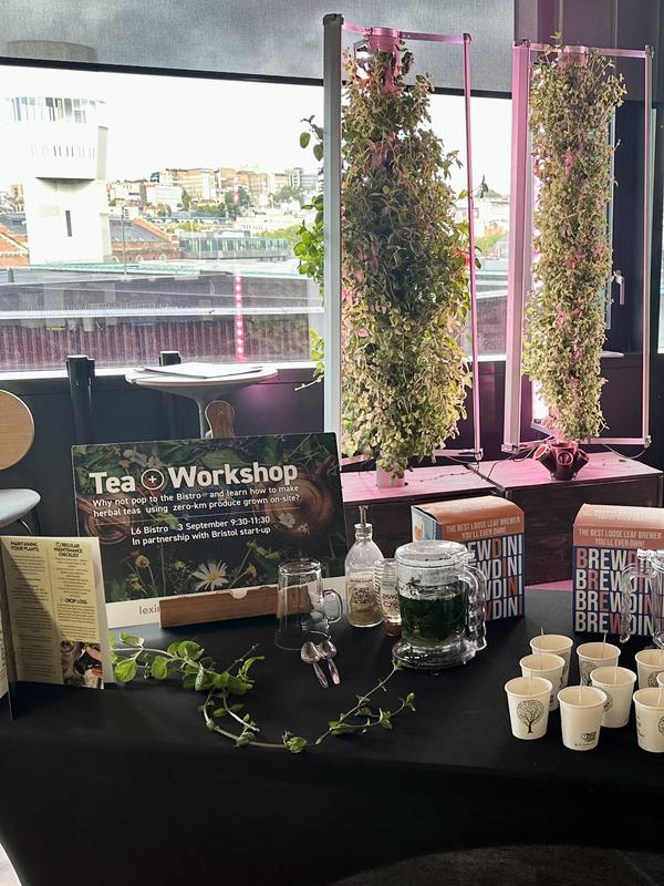 A tea workshop laid out beside a growing tower